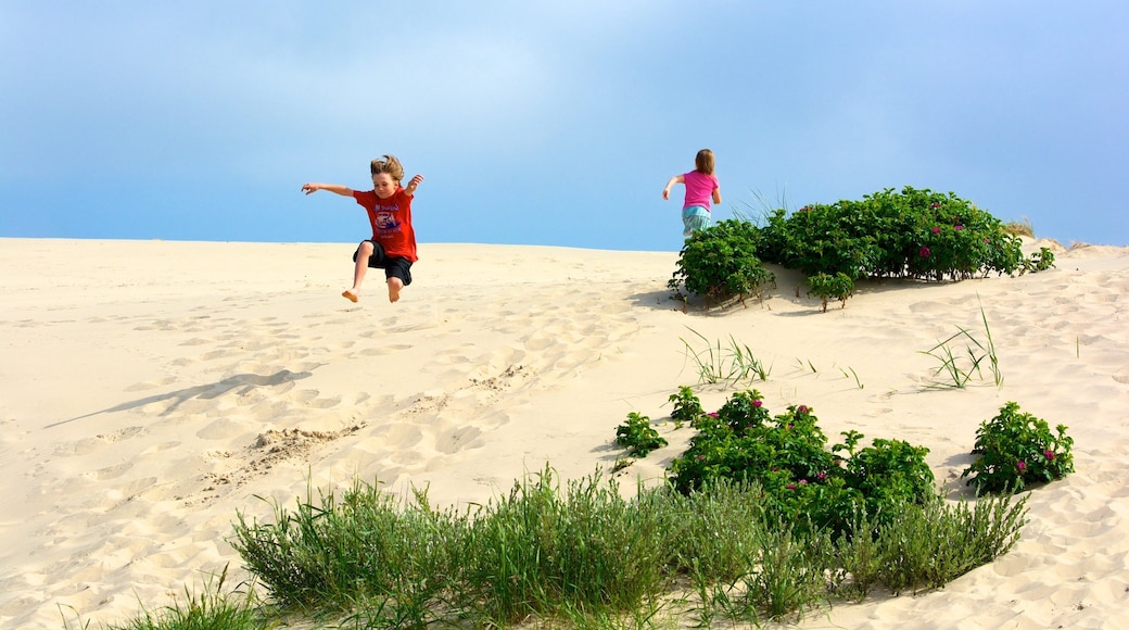 Raabjerg 里 呈现出 海灘 以及 位小童