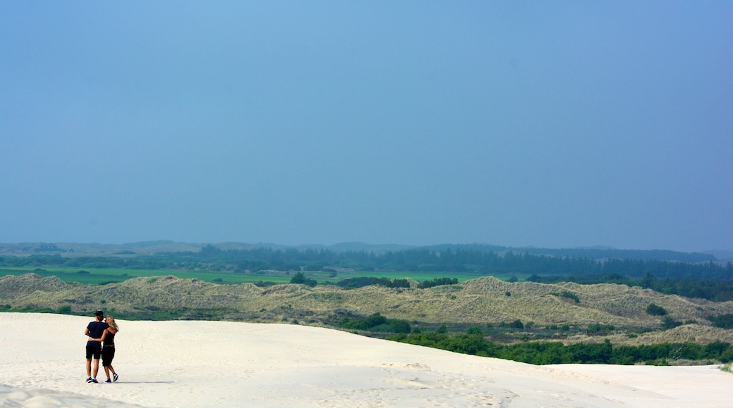 Raabjerg Mile featuring general coastal views, landscape views and hiking or walking