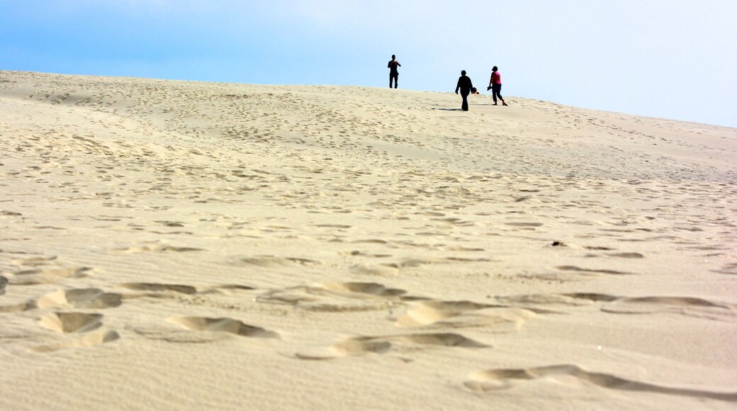 Raabjerg Mile trong đó bao gồm cảnh bờ biển, đi bộ và bãi biển