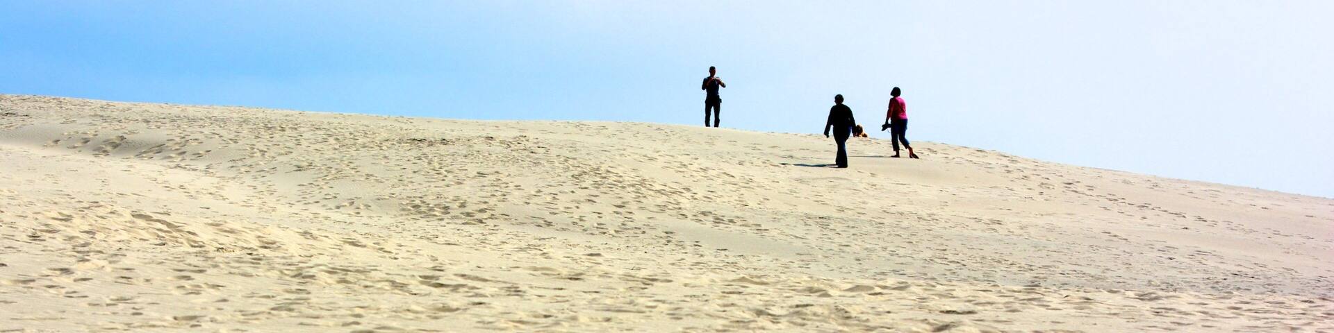 Raabjerg Mile showing a sandy beach, general coastal views and hiking or walking