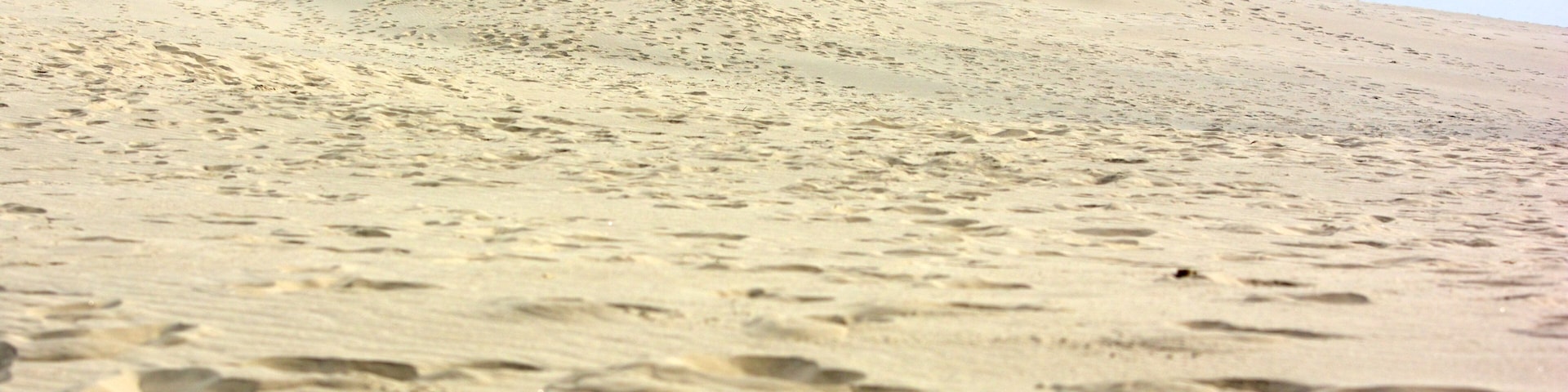 Råbjerg Mile mit einem Wandern oder Spazieren, allgemeine Küstenansicht und Strand