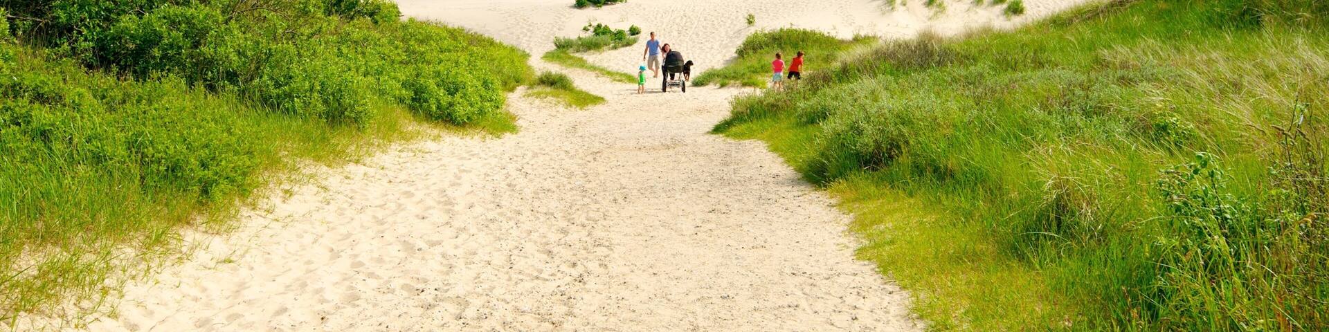 A sandy path flanked by green vegetation, leading to a dune landscape.