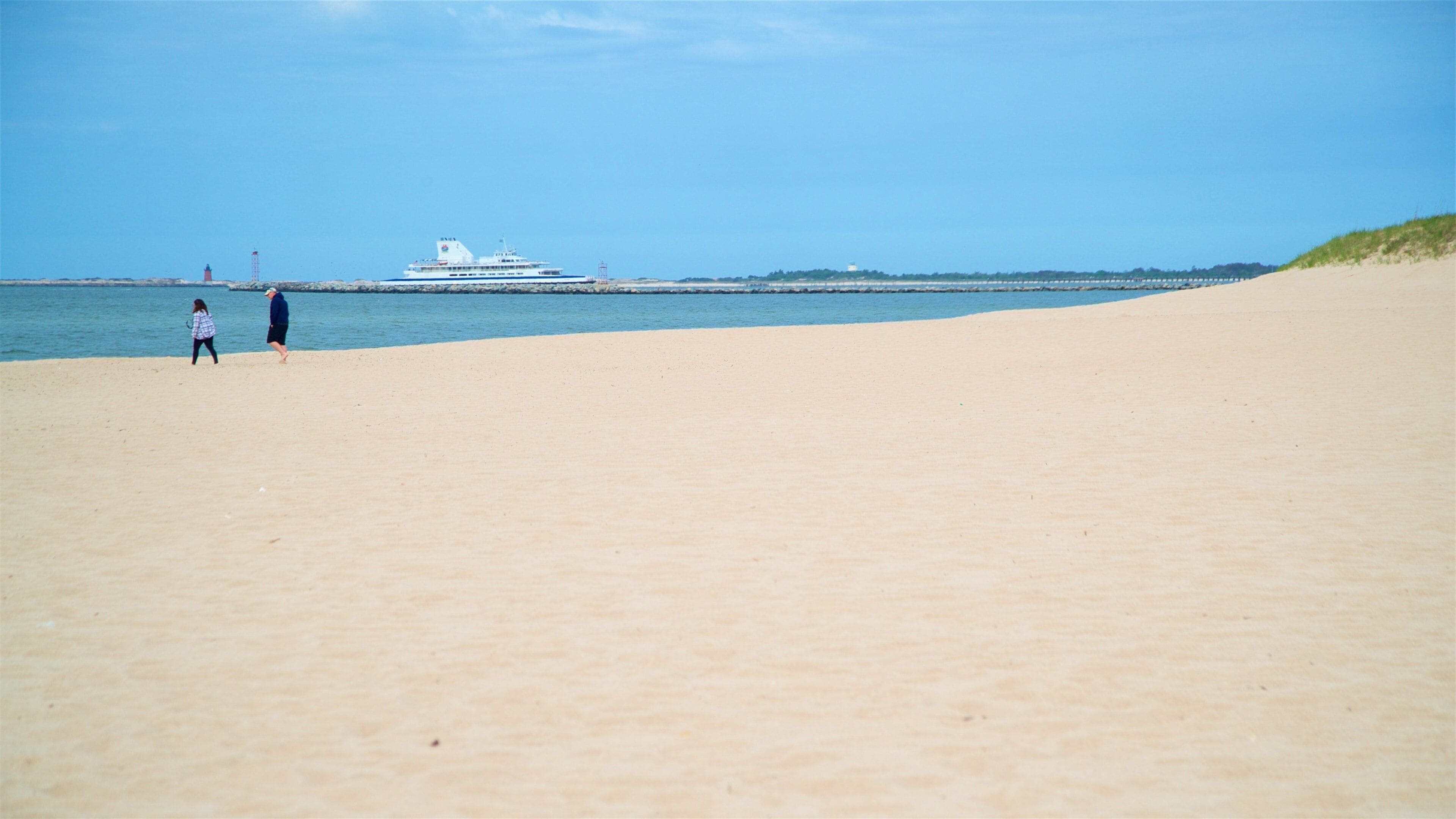 Lewes Beach which includes general coastal views and a sandy beach as well as a couple