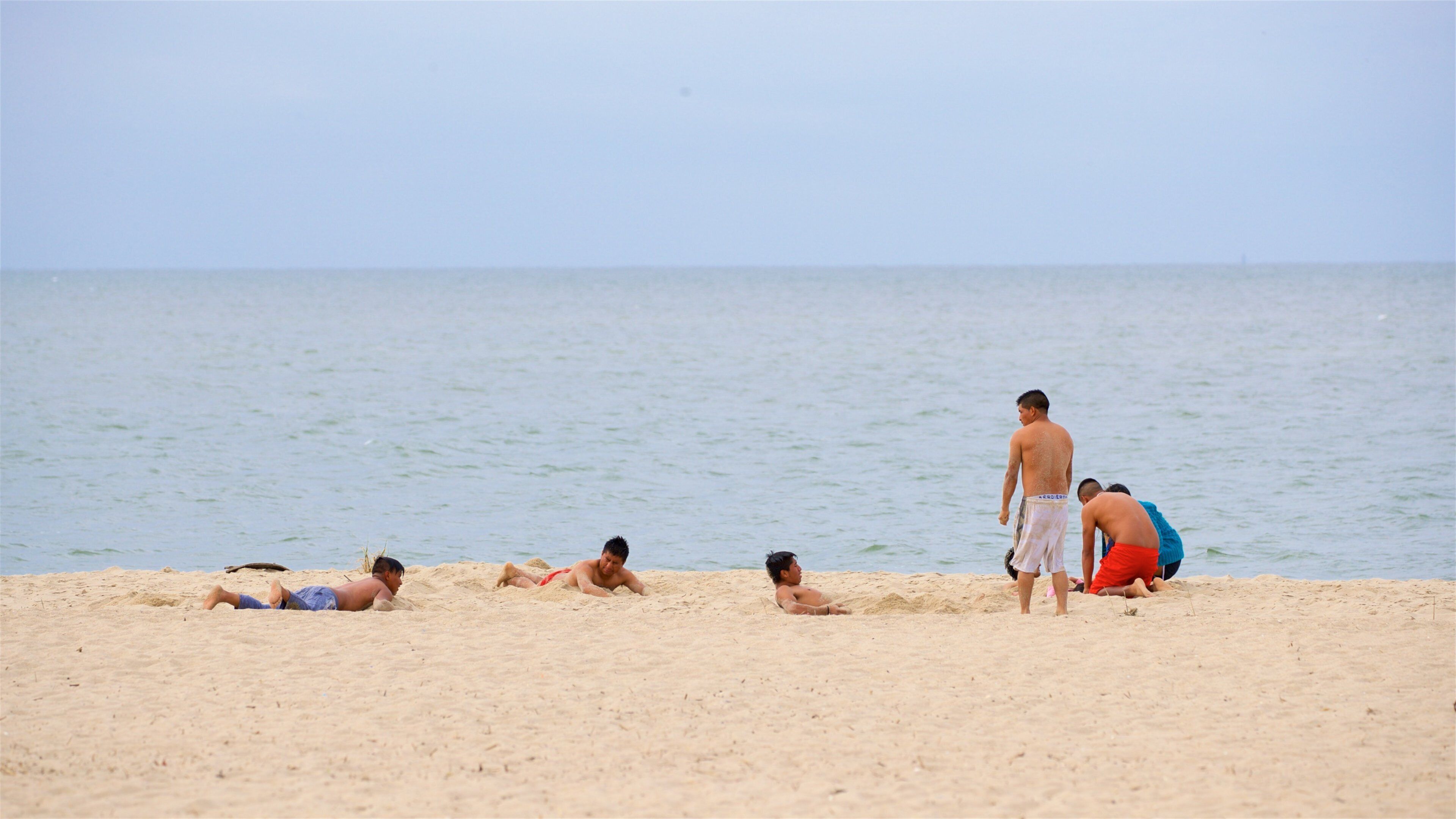 Lewes Beach som inkluderar kustutsikter och en sandstrand såväl som en liten grupp av människor