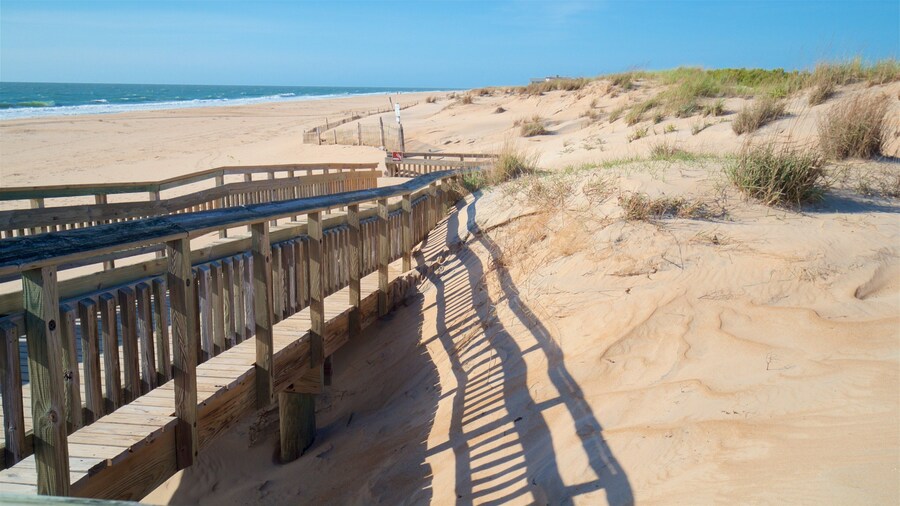 Fenwick Island State Park showing general coastal views and a beach