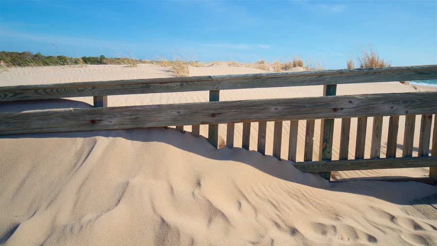 Parque Estadual da Ilha de Fenwick que inclui uma praia e paisagens litorâneas