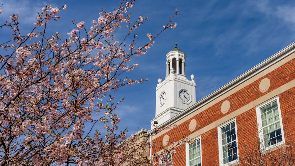 A building with a clock tower and cherry blossoms.