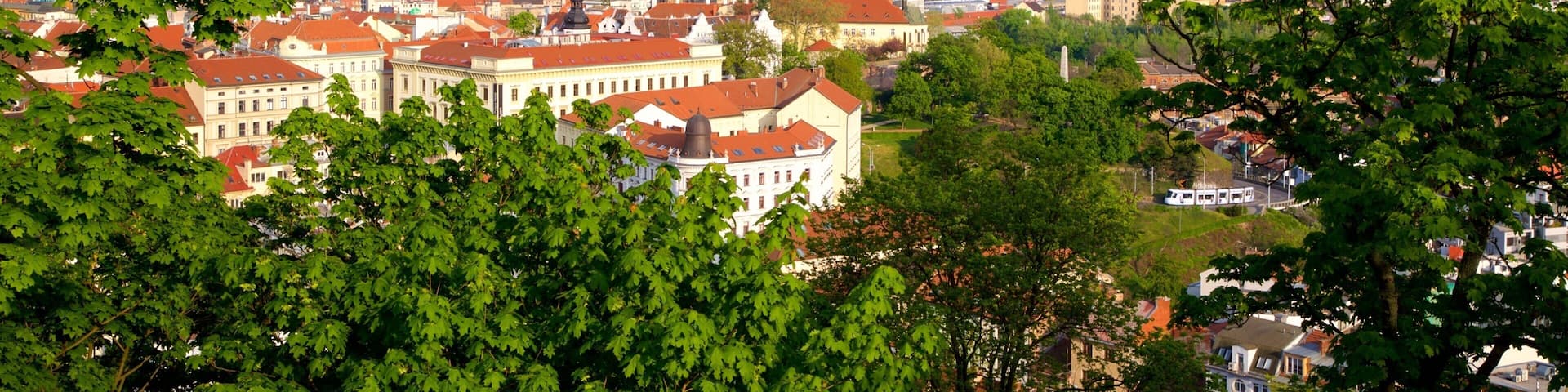 A cityscape with prominent twin spires of a cathedral, surrounded by lush green trees and various buildings with red roofs.
