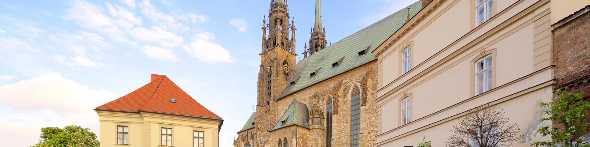 Cathedral of St. Peter and St. Paul featuring heritage elements