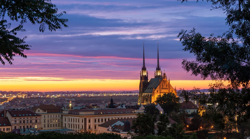 Brno Cathedral in the morning