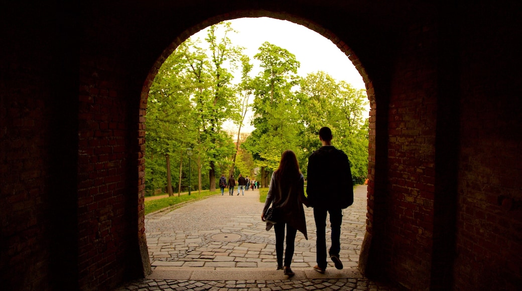 Spilberk Castle which includes a park as well as a couple