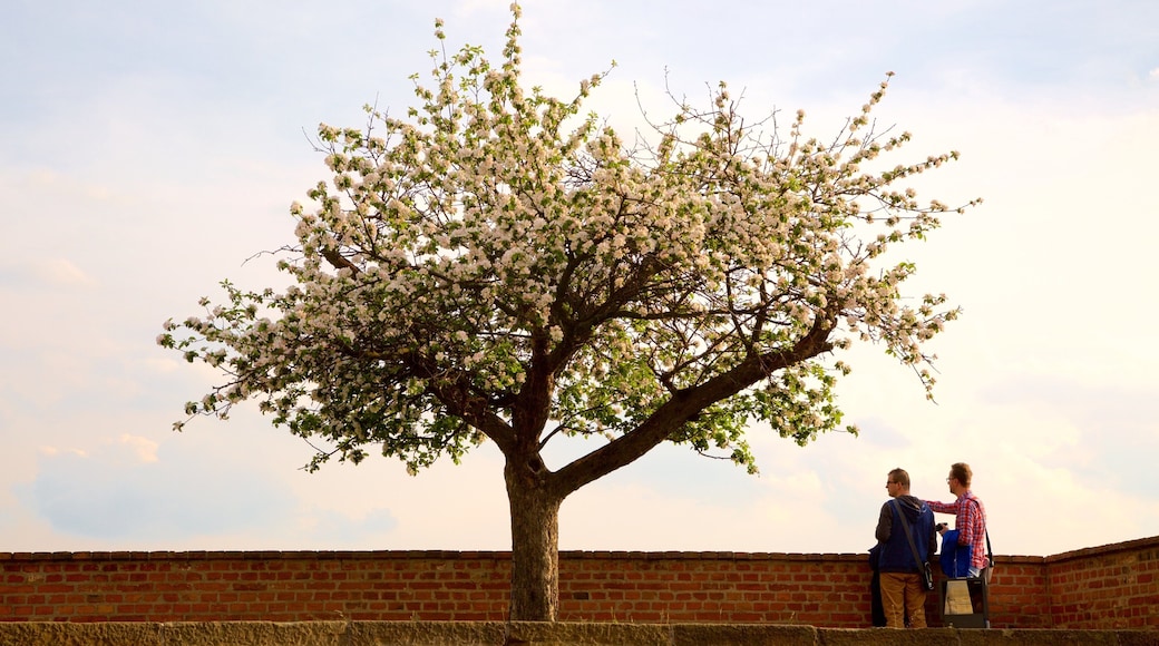 Forteresse du Spielberg qui includes fleurs aussi bien que petit groupe de personnes