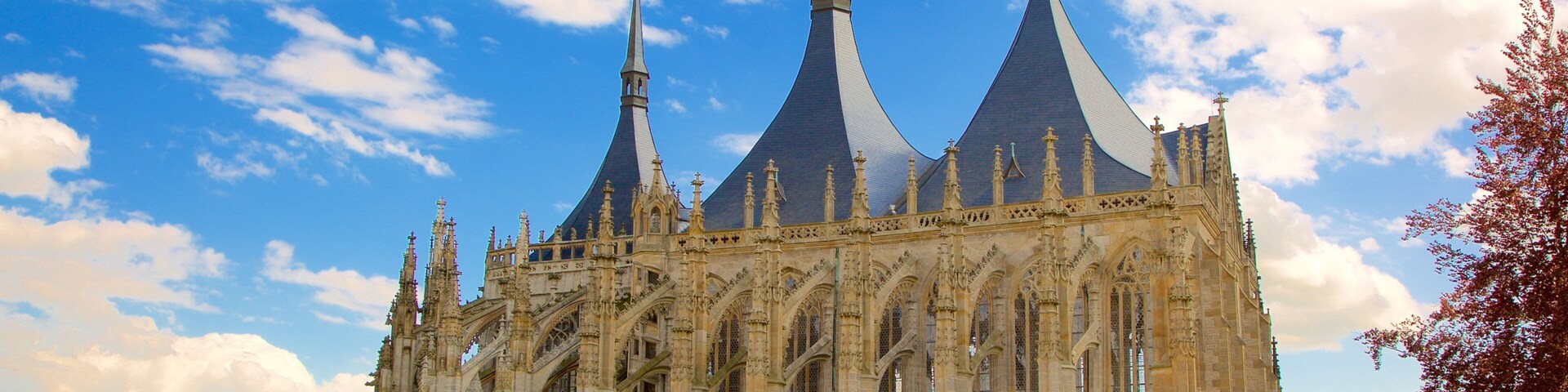 Church of St. Barbara which includes a church or cathedral, heritage elements and heritage architecture