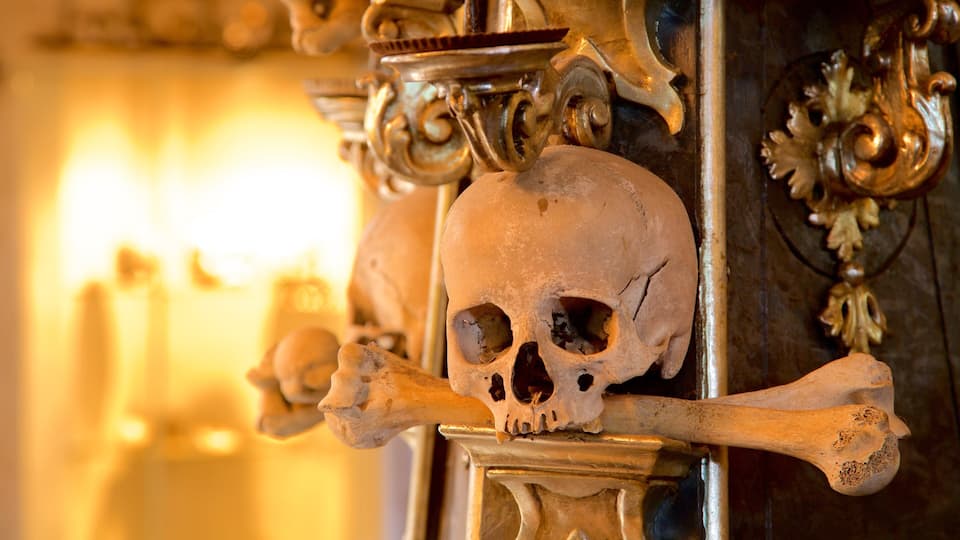 A skull with a crossbone.
