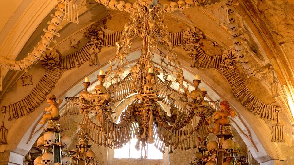 A grand hall with an ornate chandelier made of skulls and bones, and a large arched ceiling.