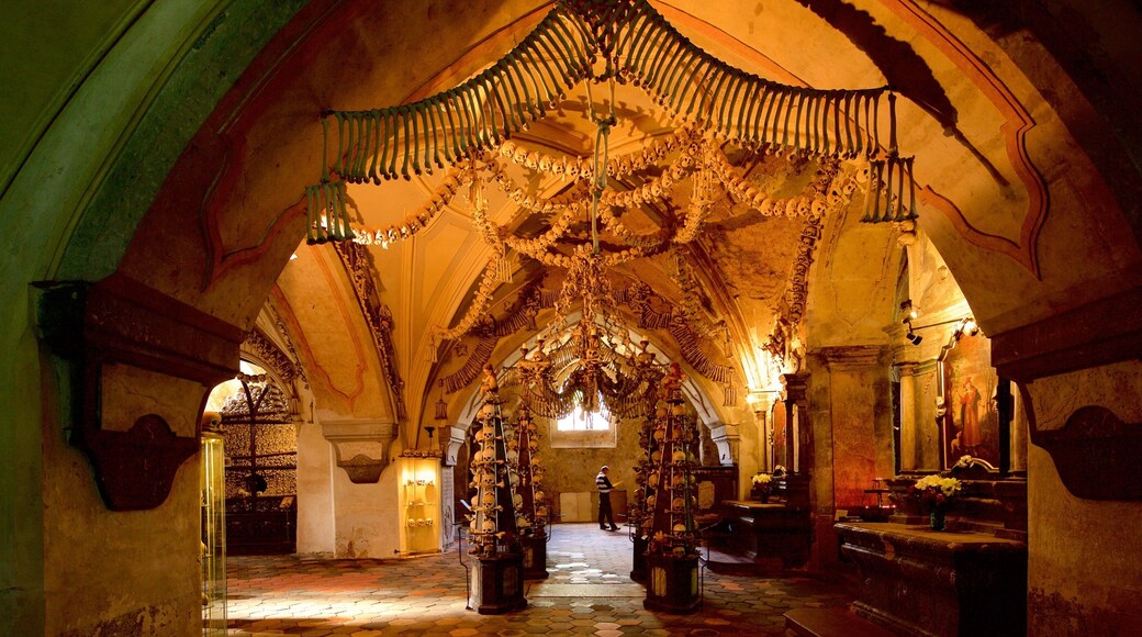 Osario de Sedlec ofreciendo vistas interiores