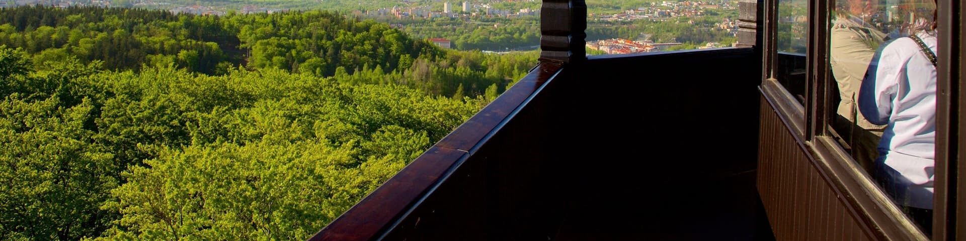 Diana Lookout Tower showing views and forests