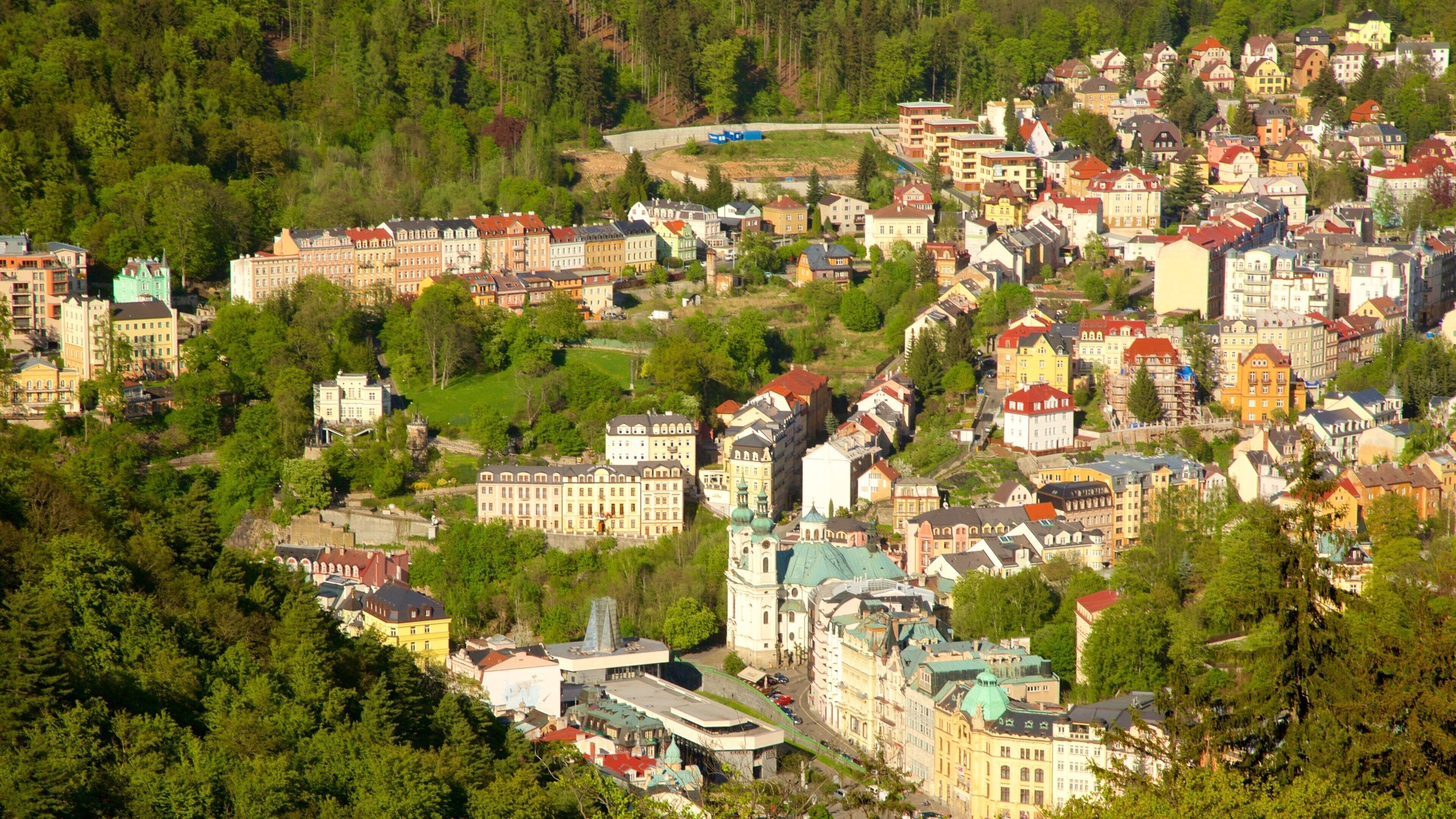 Diana Lookout Tower featuring a city and forests