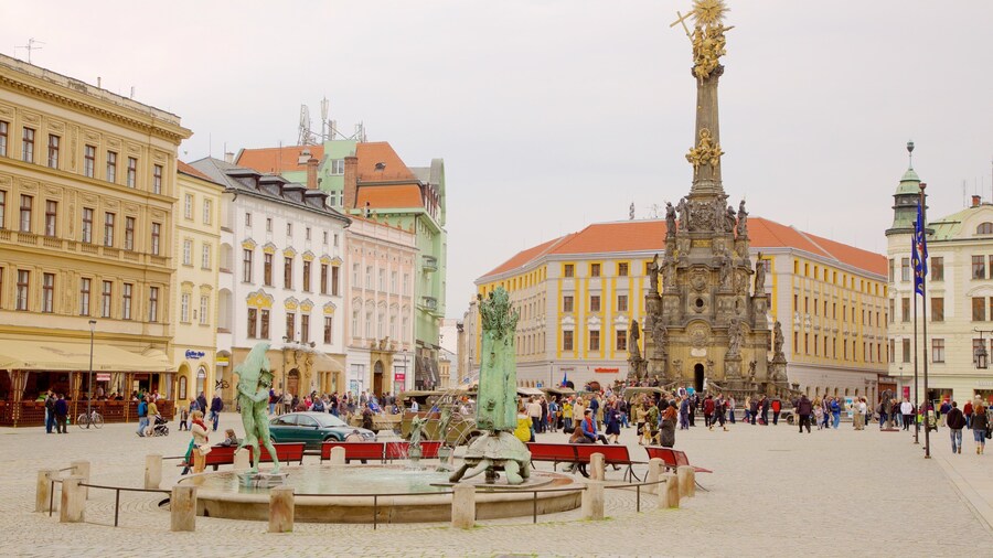 Holy Trinity Column showing a square or plaza, a city and heritage elements