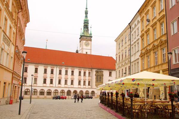 Olomouc som visar en stad och gatuliv