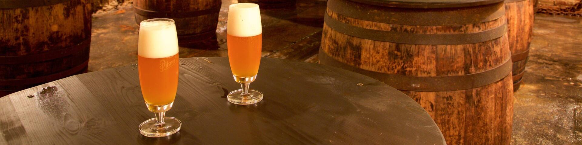 Pilsner Urquell Brewery which includes interior views