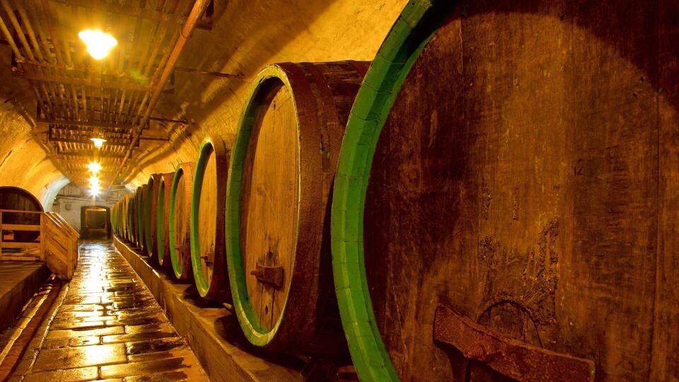A series of wooden barrels in a dimly lit, vaulted cellar.