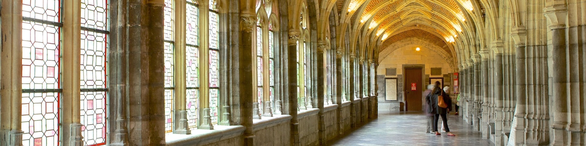 Liege Cathedral showing religious aspects, a church or cathedral and interior views