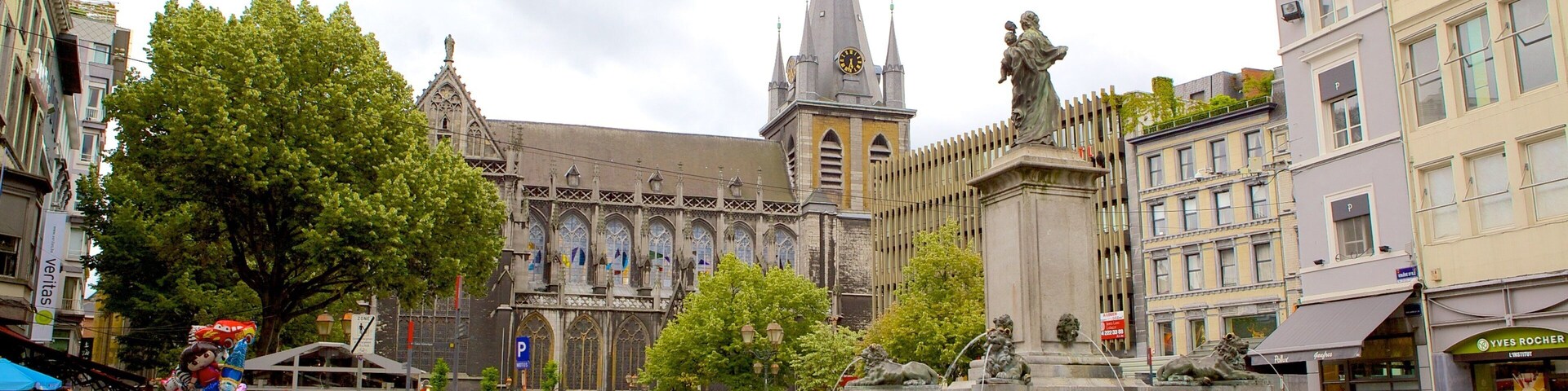 Liege Cathedral featuring a fountain, a city and a square or plaza