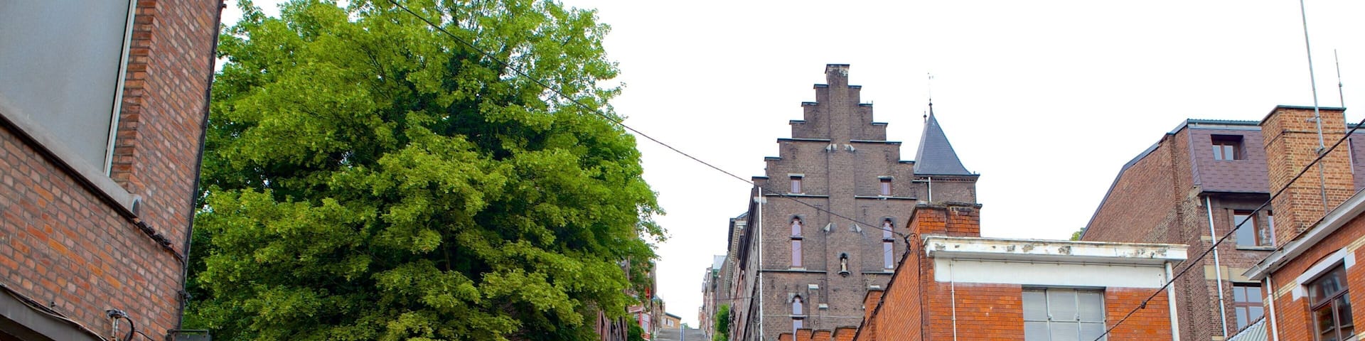 Montagne de Beuren featuring heritage architecture