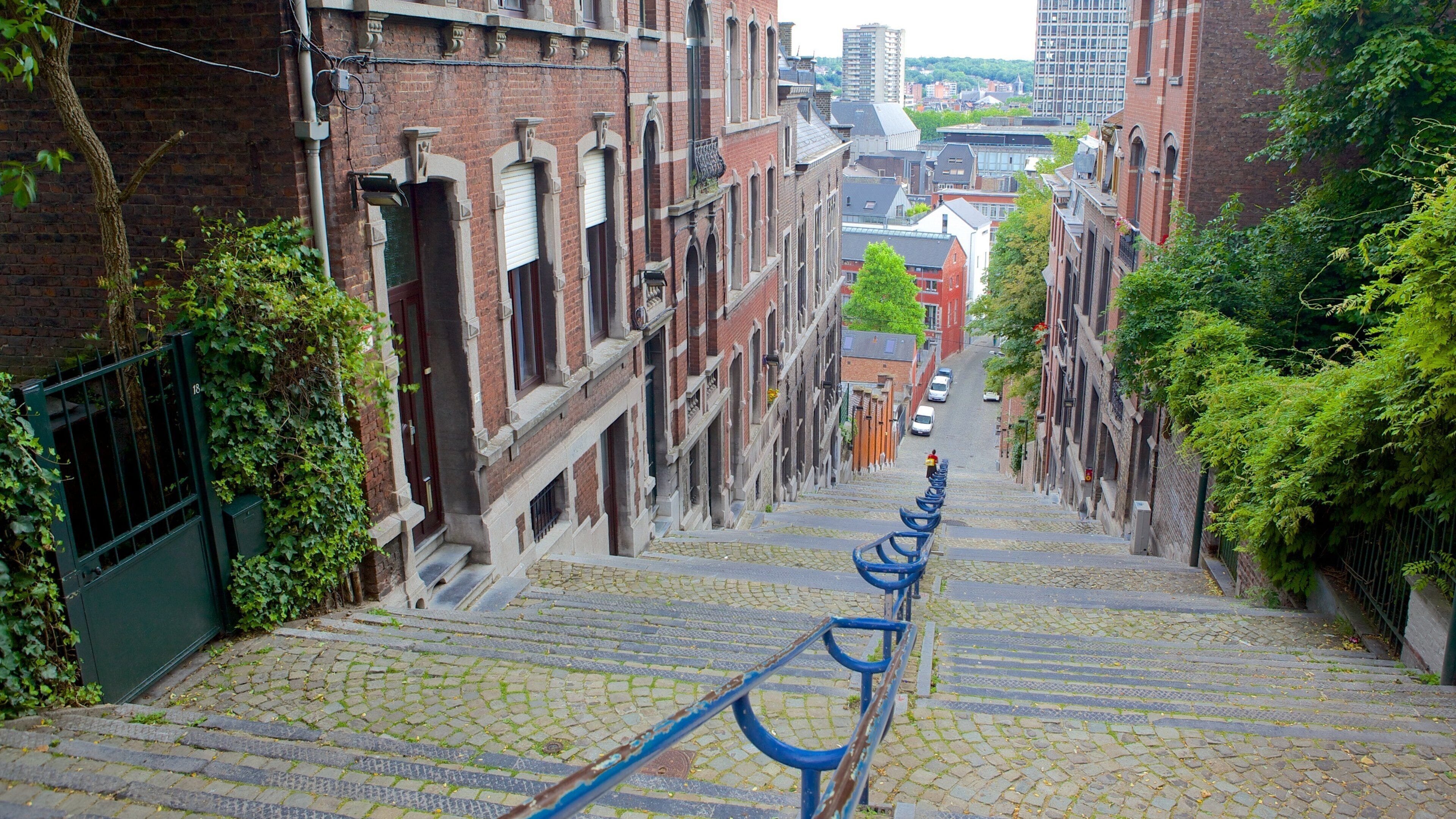 Una calle empedrada bordeada por edificios de ladrillo con enredaderas verdes, que sube una pendiente pronunciada.