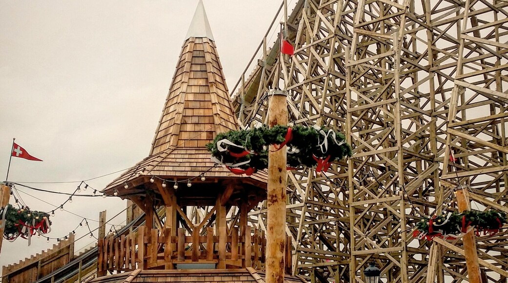 Family theme park owned by television company Studio 100. The park's rides and attractions are based on the company's various childrens TV shows. Prior to 2000, the park was known as Meli-Park and had a bee/honey theme. In 2017, Plopsaland added a new family wooden roller coaster themed to the TV show Heidi that was built by Great Coasters International. The area resembles a traditional Swiss village. Other lands are themed to Wickie (Vicky) the Viking, Kabouter Plop (Plop the gnome), and House of Anubis. The Anubis roller coaster, built by Gerstlauer, features an unexpectedly strong rolling launch.