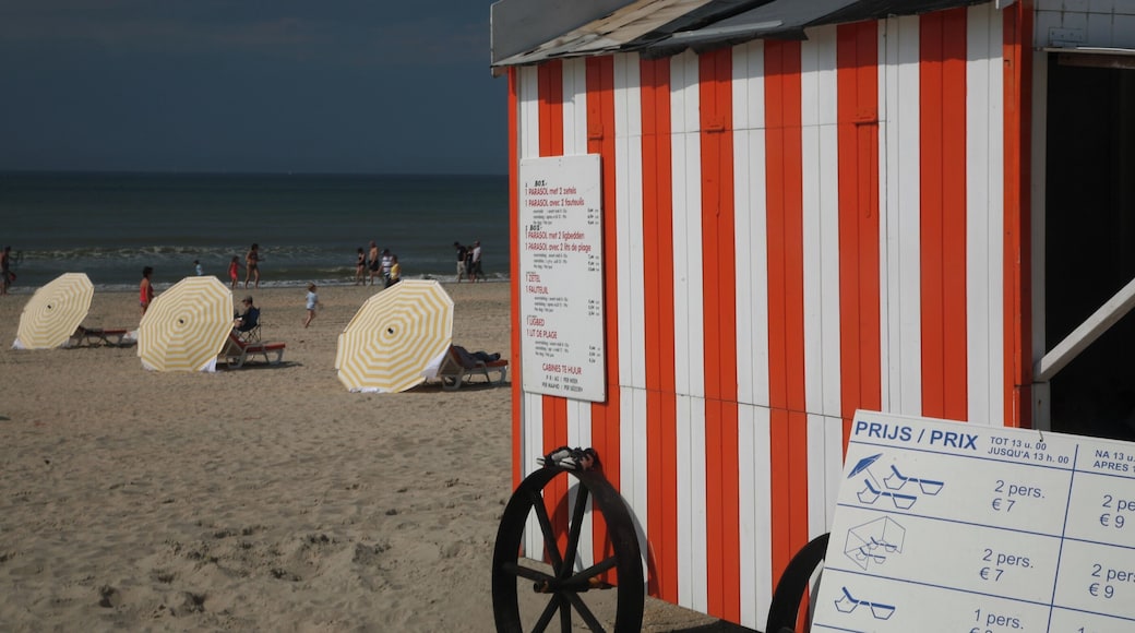 Changing hut De Panne beach,Belgium.
Colour coordinated huts and sunbeds, line the beach.
#BeachTips