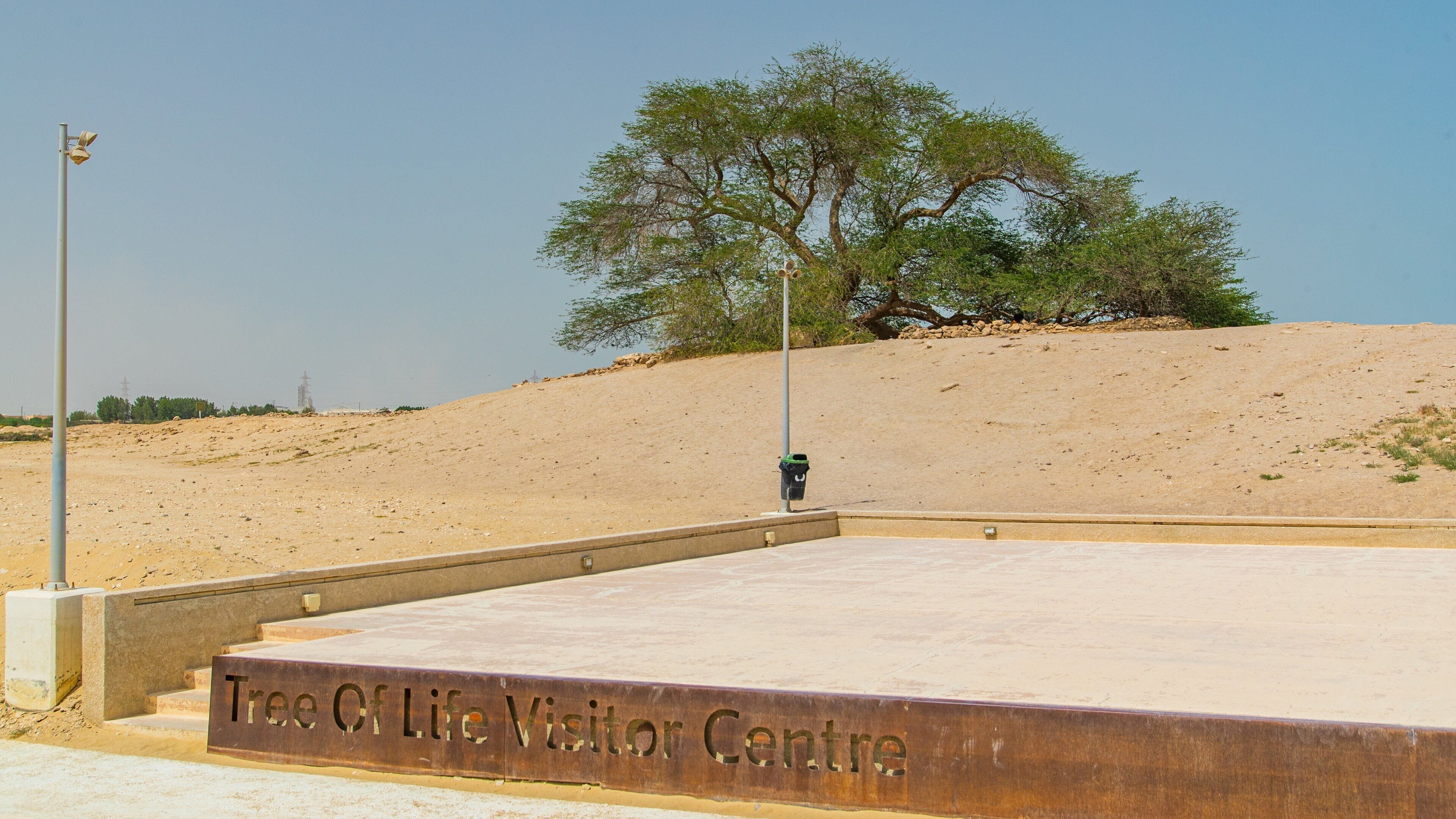 Tree of Life featuring a sandy beach and signage
