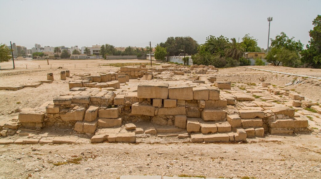 Barbar Temple which includes heritage elements and a ruin
