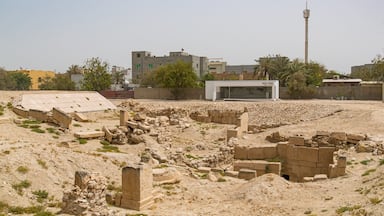 Barbar Temple which includes heritage elements and a ruin