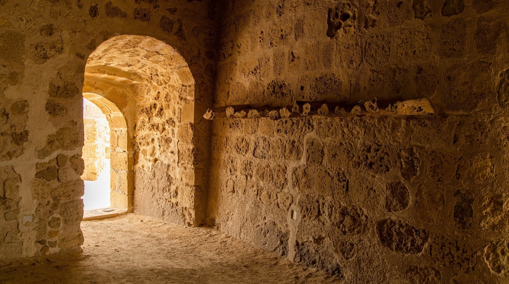 Qal\'at al-Bahrain Site and Museum showing interior views and heritage elements