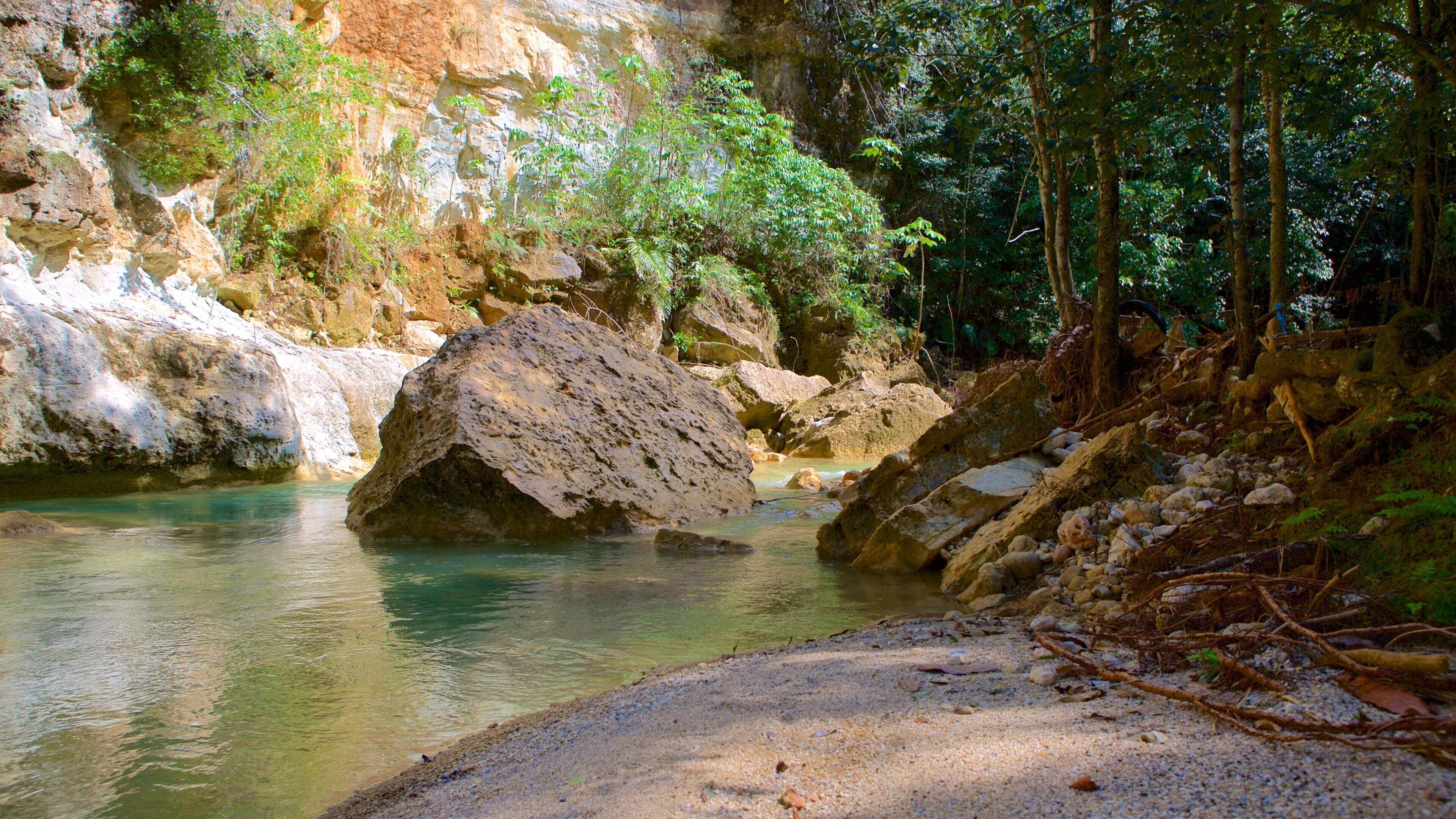 A river flowing through a rocky gorge with a large boulder in the water, surrounded by dense forest.