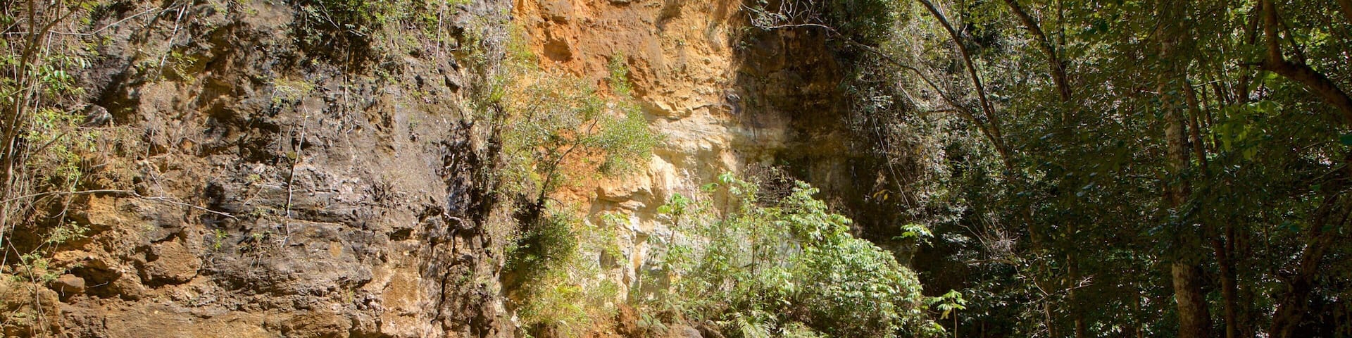 El Salto del Limon showing a gorge or canyon and a river or creek