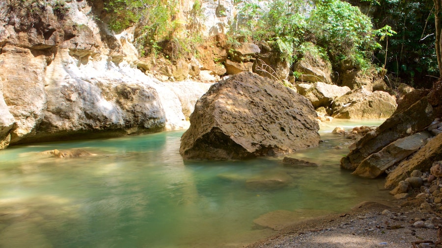 El Salto del Limon featuring a river or creek