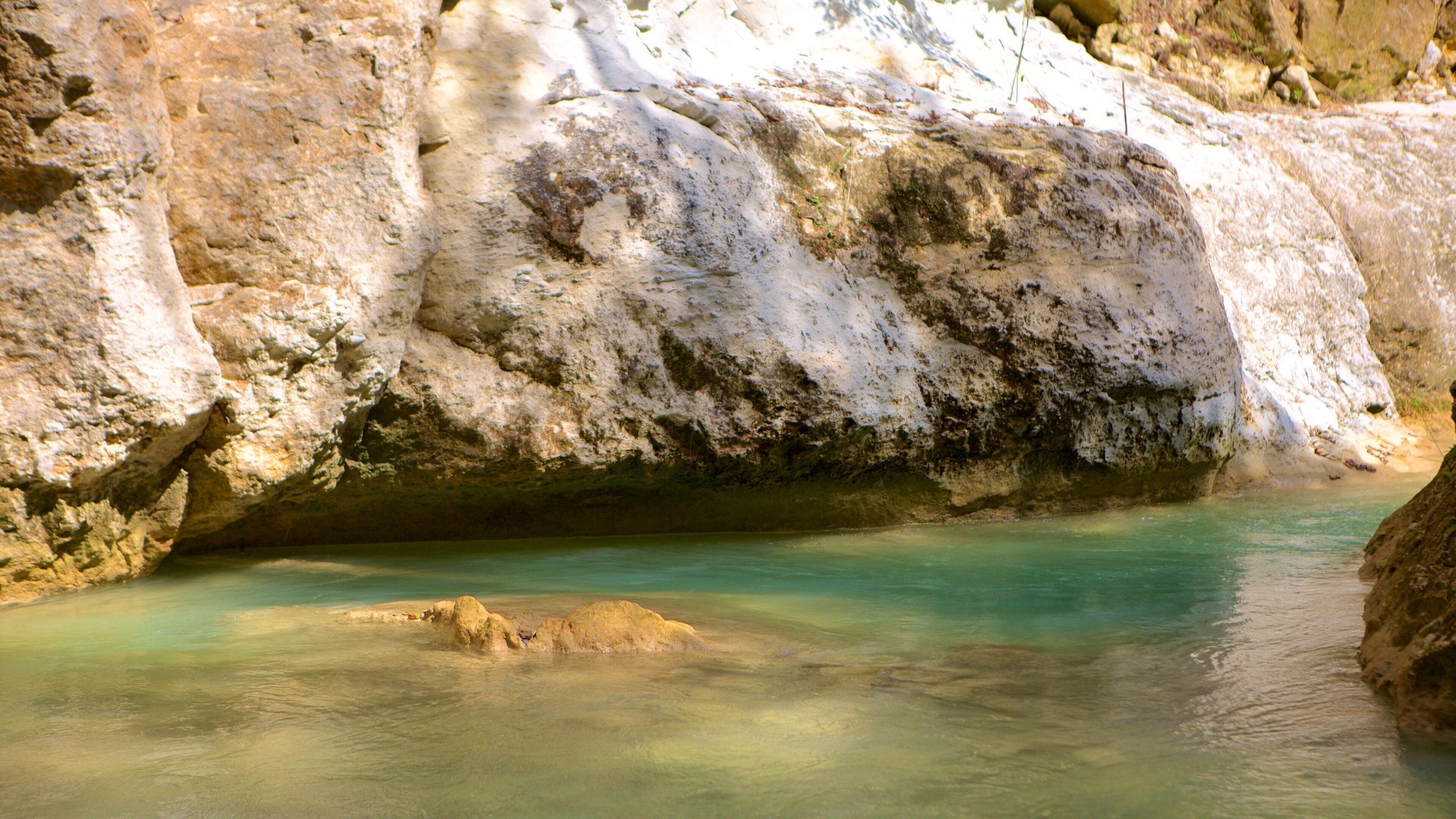 El Salto del Limon showing a river or creek