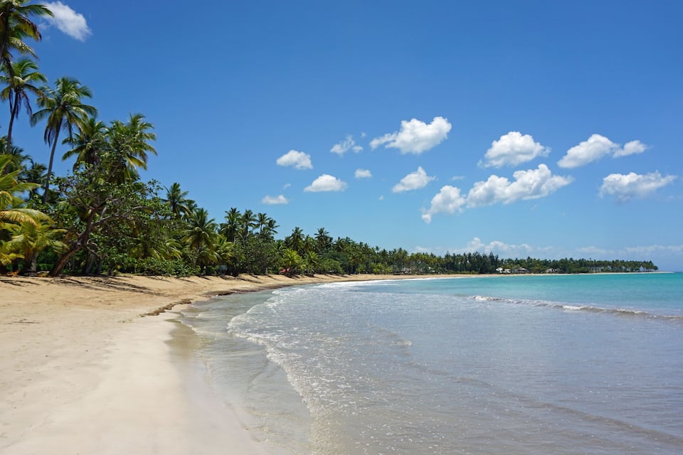 A sandy beach with palm trees and clear turquoise waters under a blue sky.