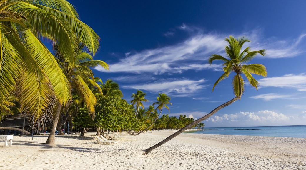 Playa Bonita at Isla Saona