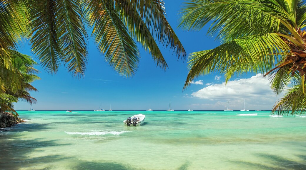 500px Photo ID: 114994541 - Palm trees on luxury exotic beach