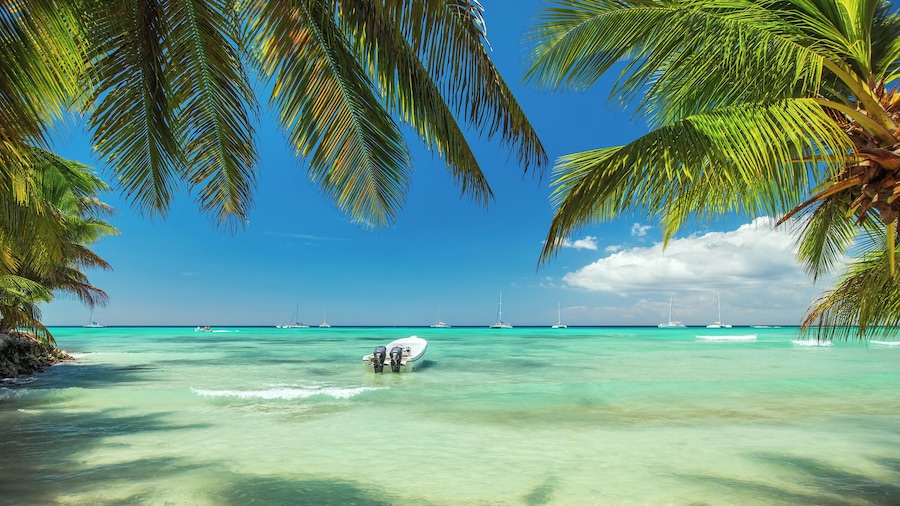 500px Photo ID: 114994541 - Palm trees on luxury exotic beach