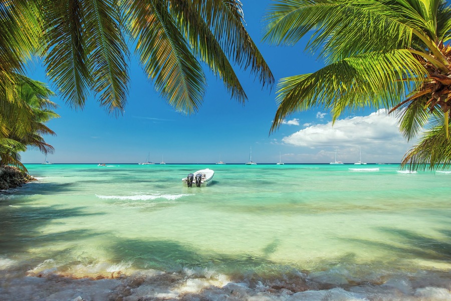 500px Photo ID: 114994541 - Palm trees on luxury exotic beach