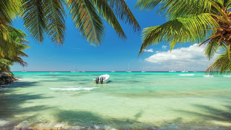 500px Photo ID: 114994541 - Palm trees on luxury exotic beach