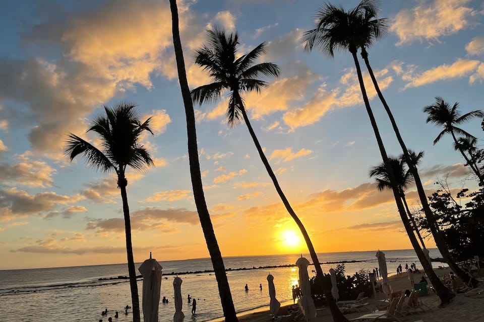 A beach at sunset with palm trees and people enjoying the water.