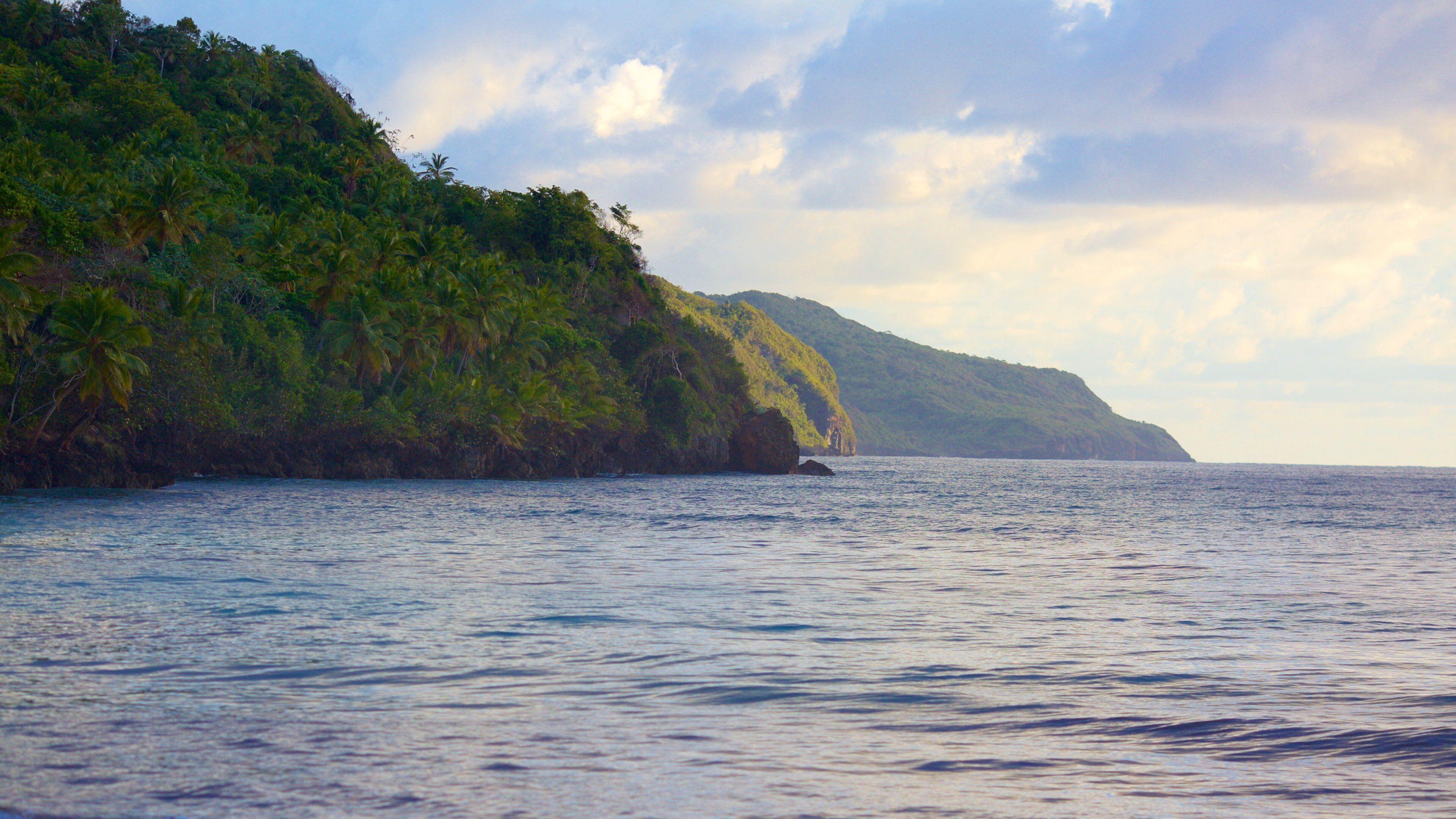 Rincon Beach which includes general coastal views