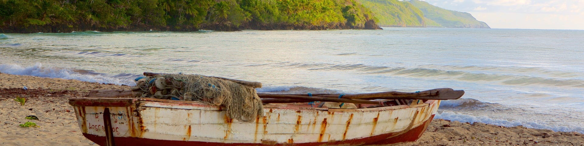 Rincon Beach which includes a beach