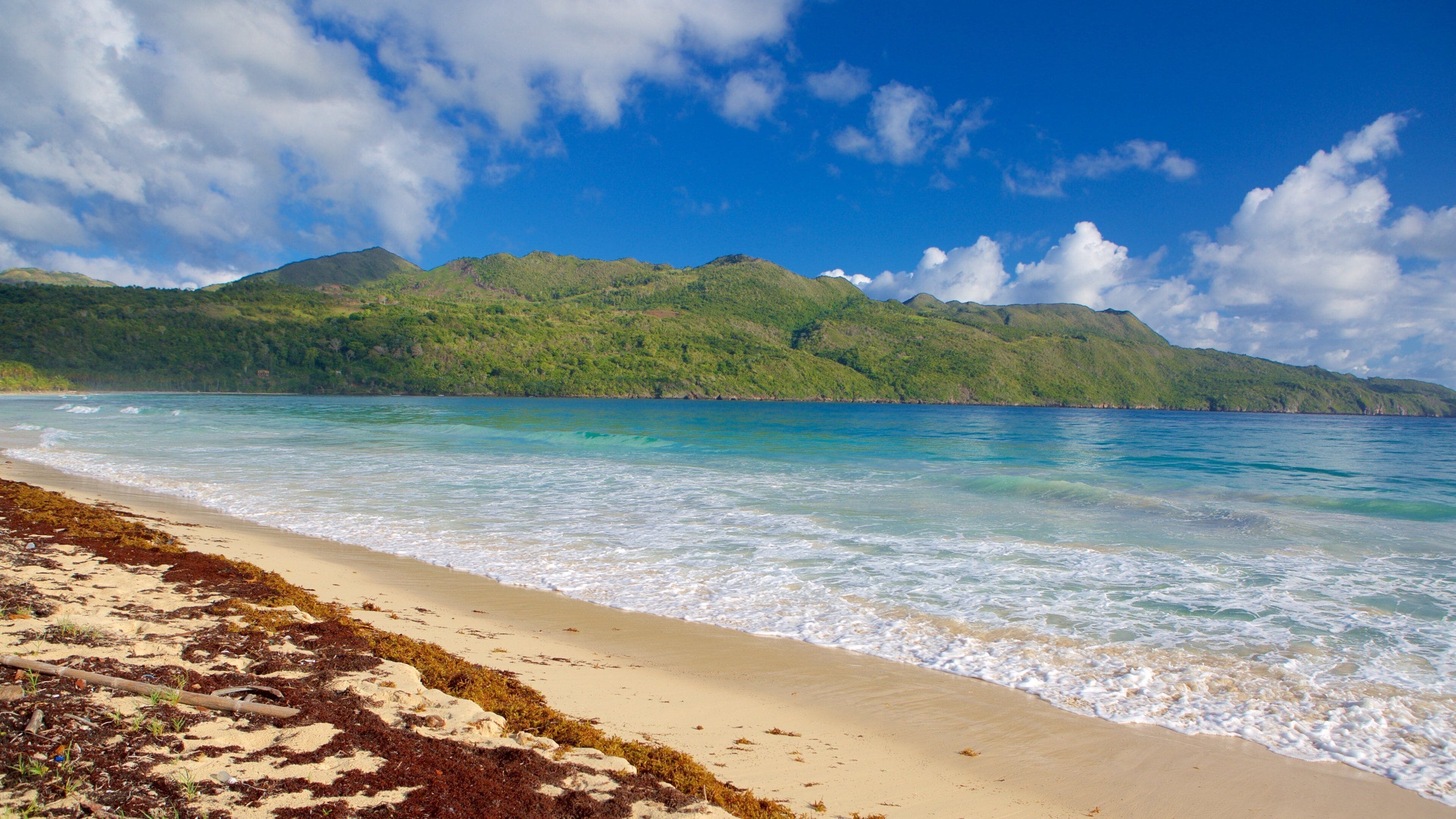 Playa Rincón ofreciendo una playa de arena
